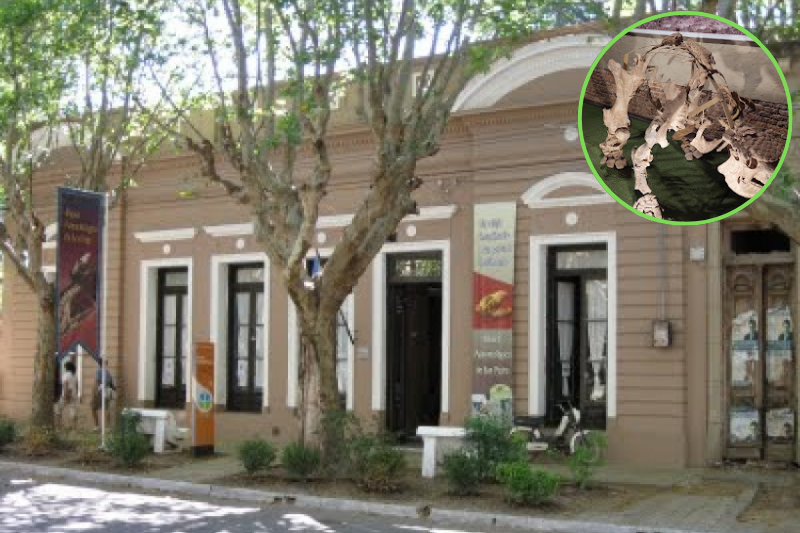 Museo paleaontologico Museo Paleontológico de San Pedro